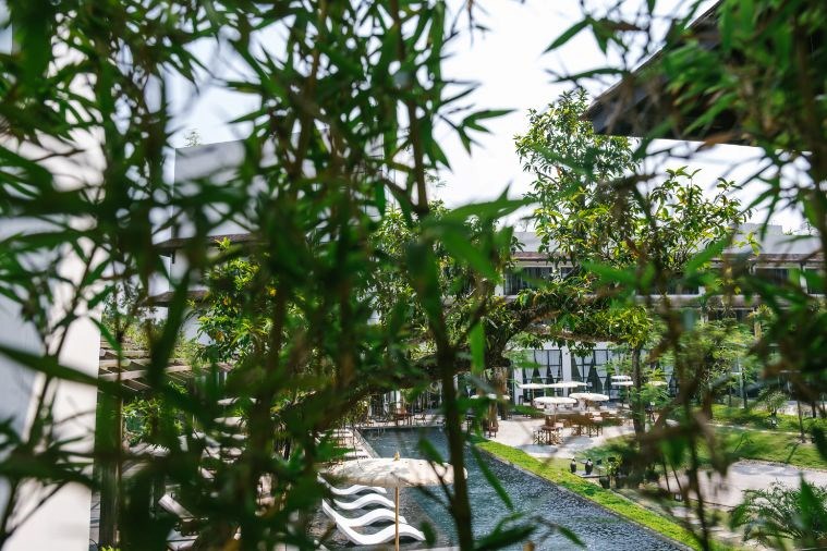 Phòng Executive Suite